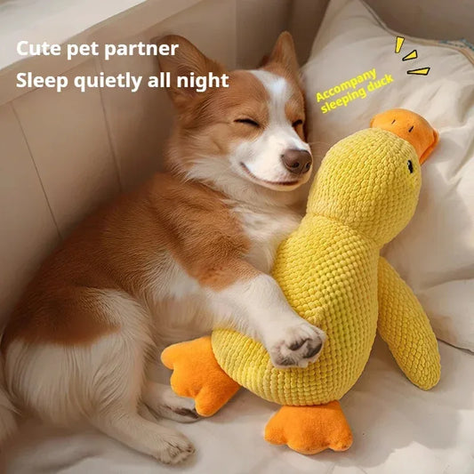 Squeaky Duck Plush Toy
